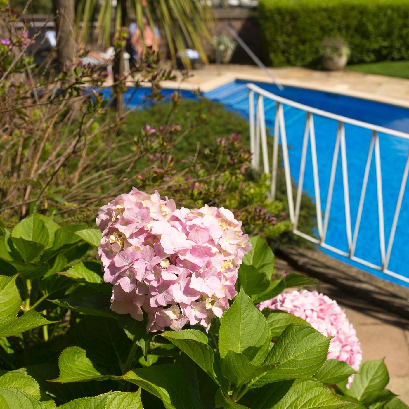 Somerville-General-view-48