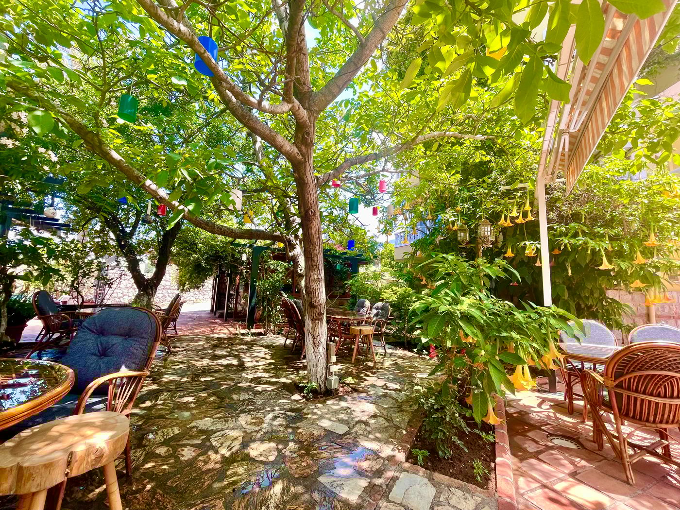 Mountain Valley Apartments 