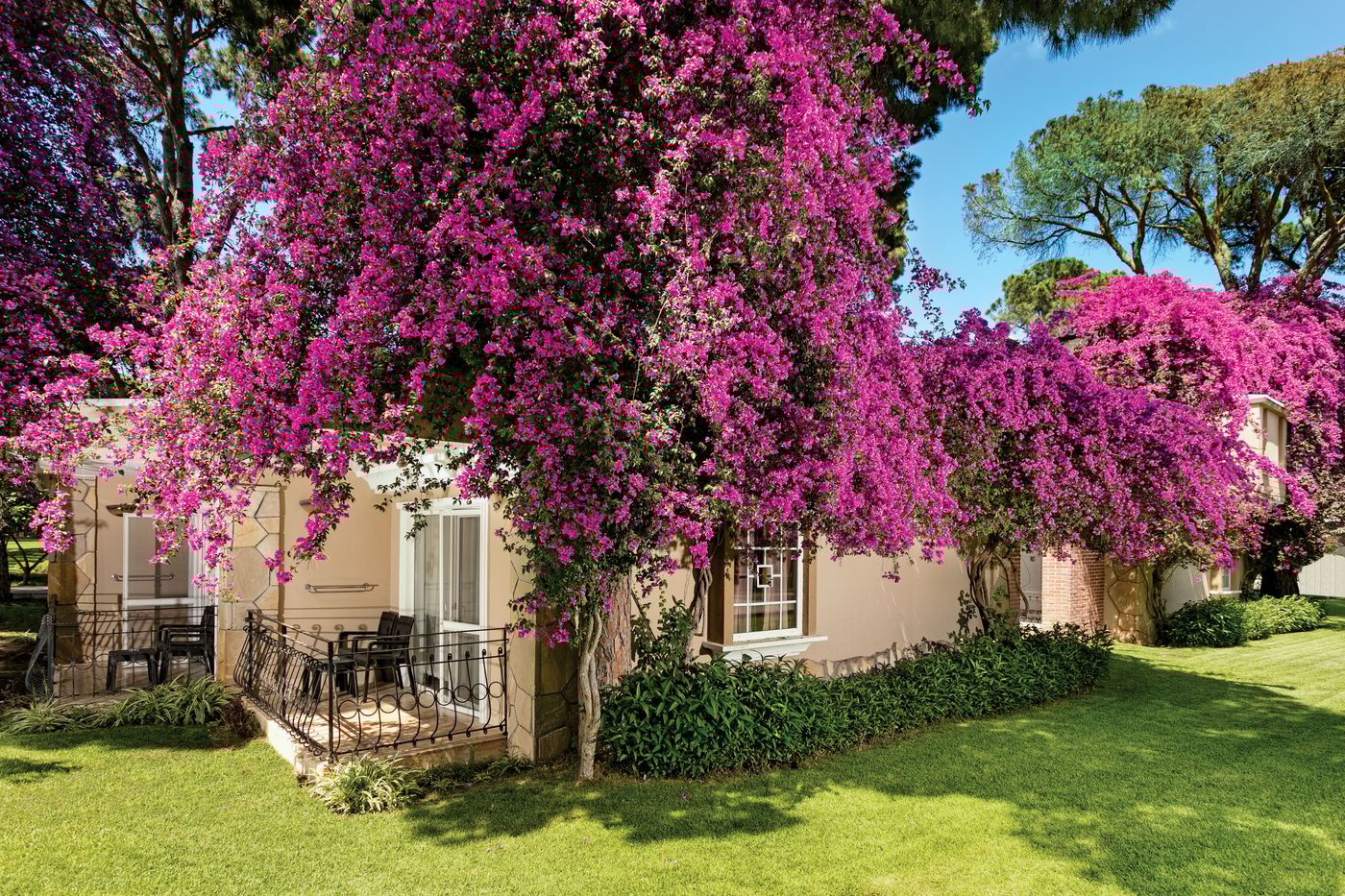 Pine-Beach-Belek-Room-22