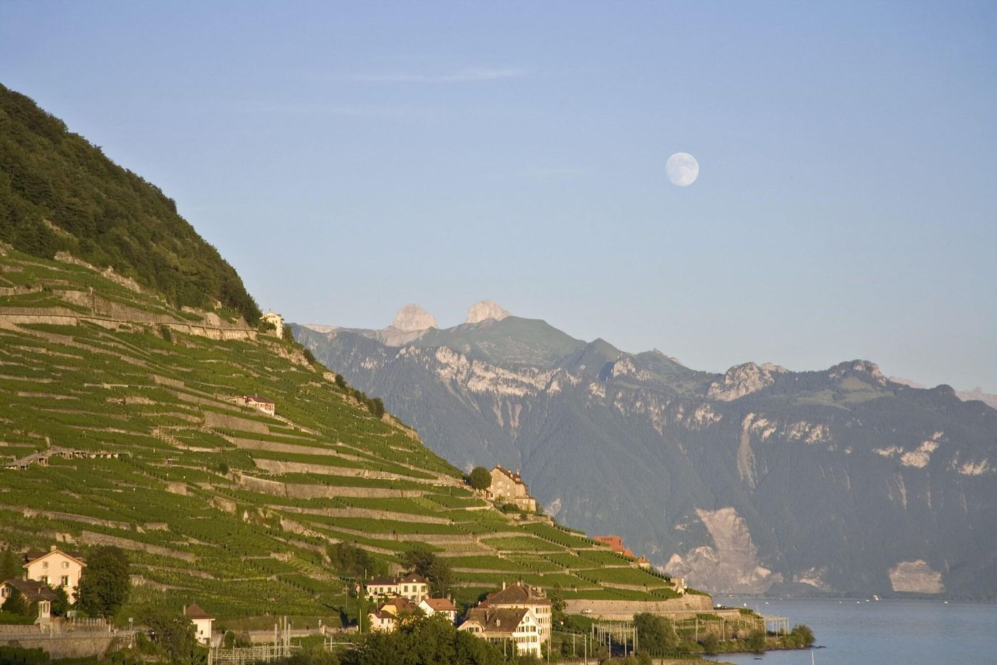 Hotel Lavaux-Switzerland-Cully-General view-10