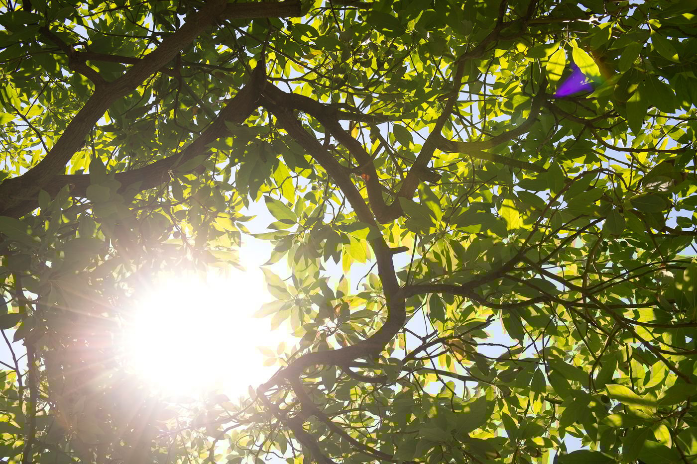 Miramare-Beach-General-view-109