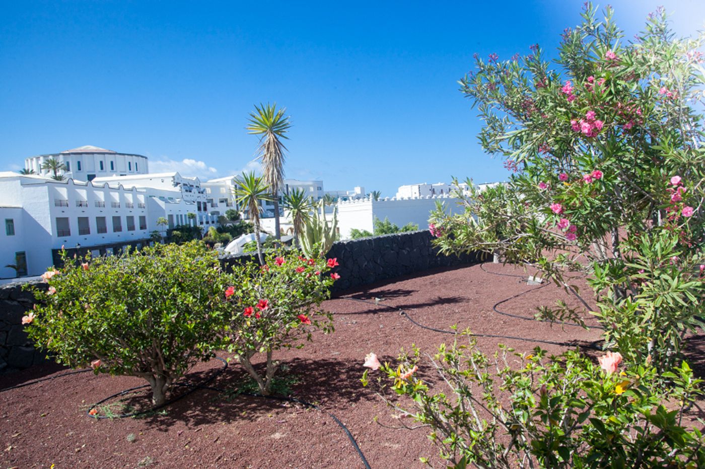 VILLAS-LAS-MARINAS-Lobby-6