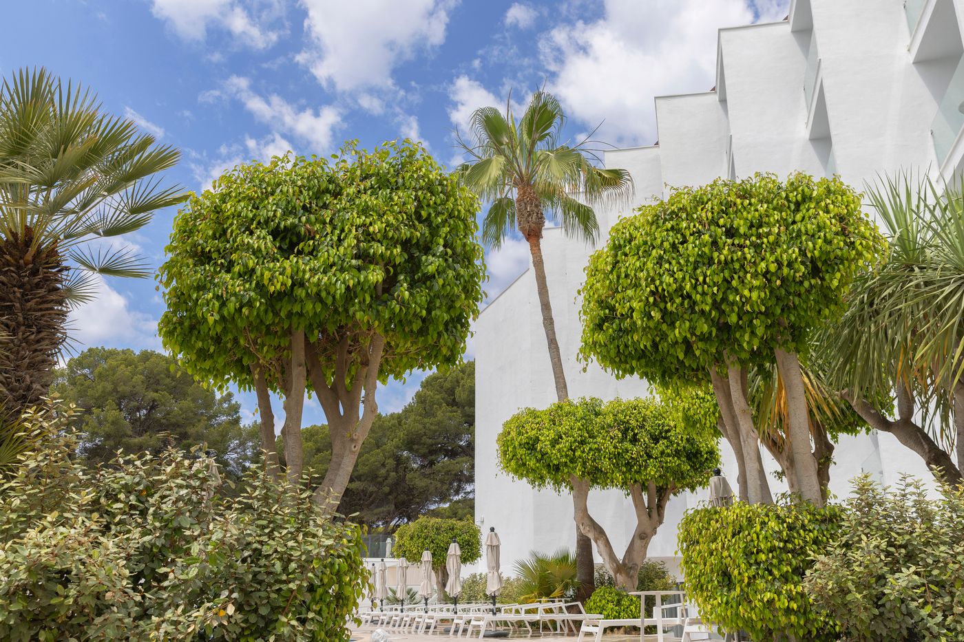 HM Isabela – Adults Only (18+)