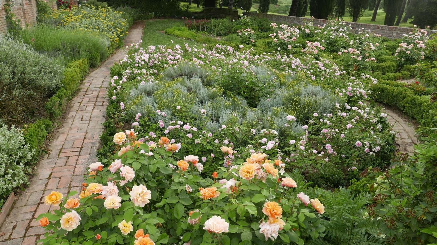 Cà Bianca-Italy-SIENA-General view-3