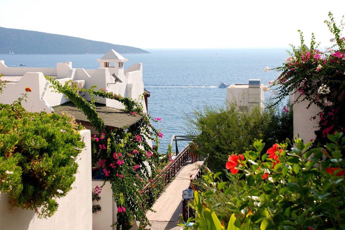 Forever Club - Adults Only