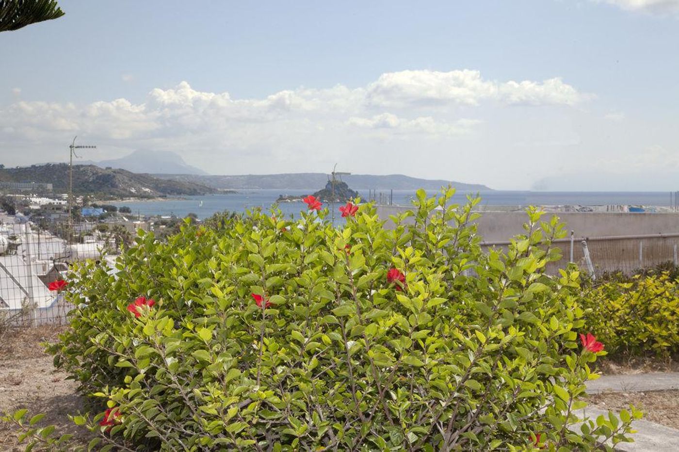 Archodia-Studios-General-view-4