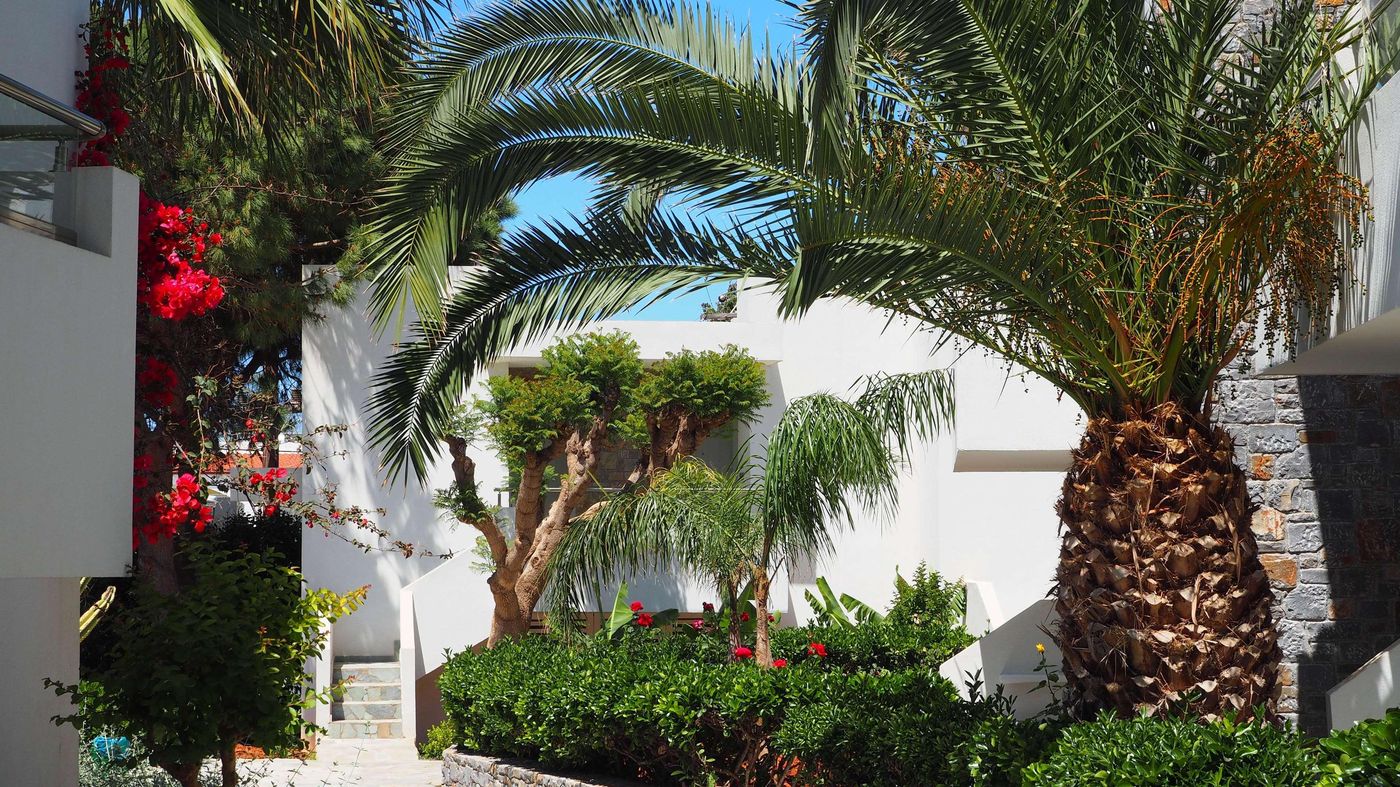 smartline-Kyknos-Beach-General-view-15