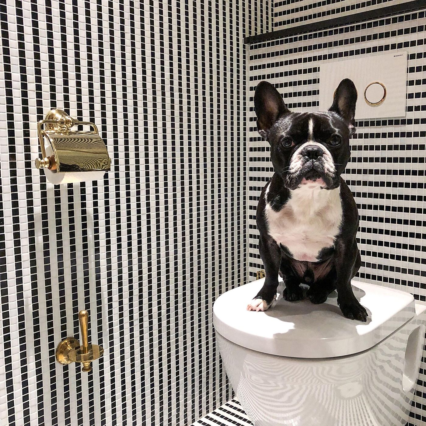 Vernet-General-view-38