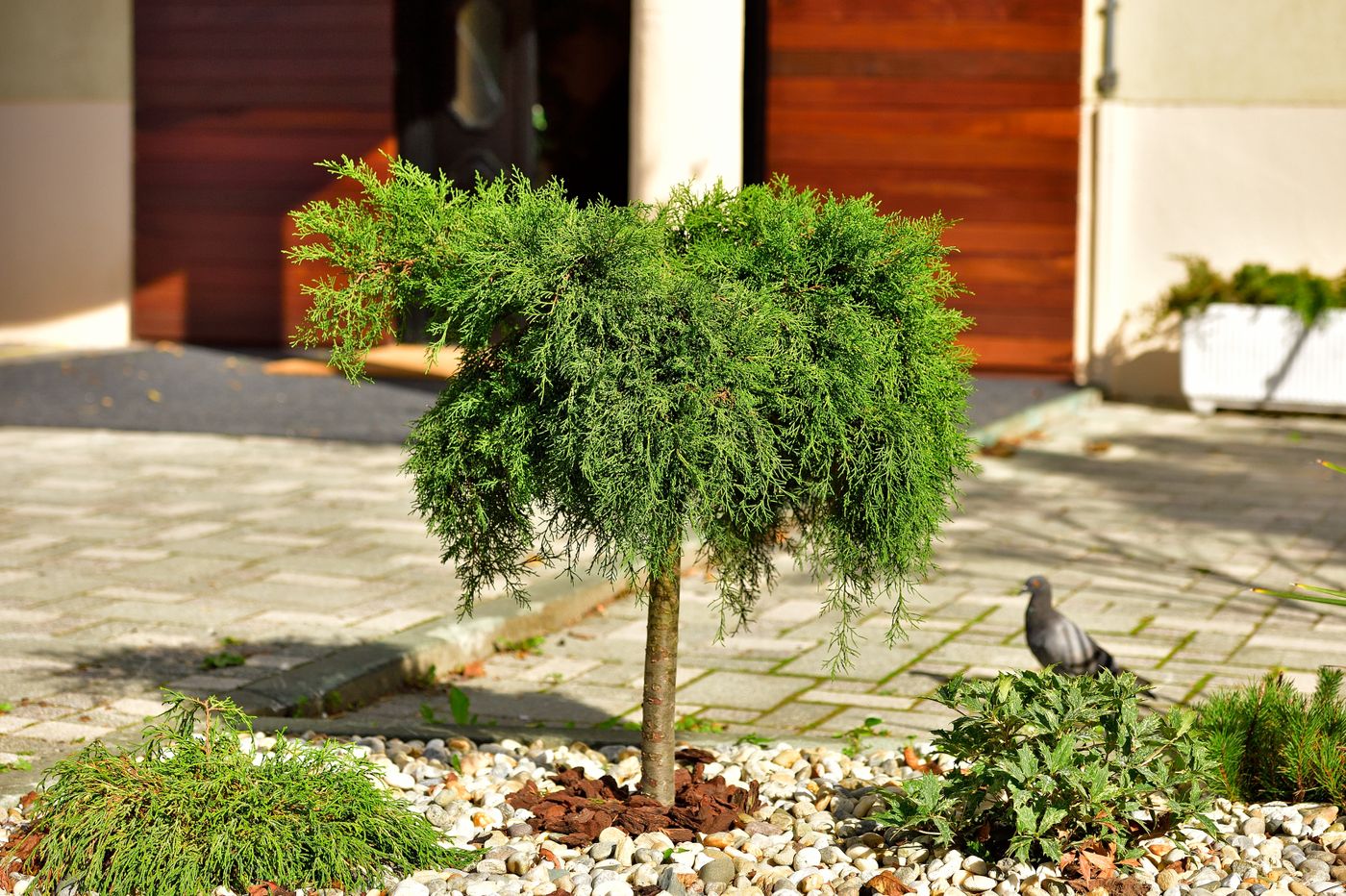 Orient Express-Croatia-ZAGREB-General view-5