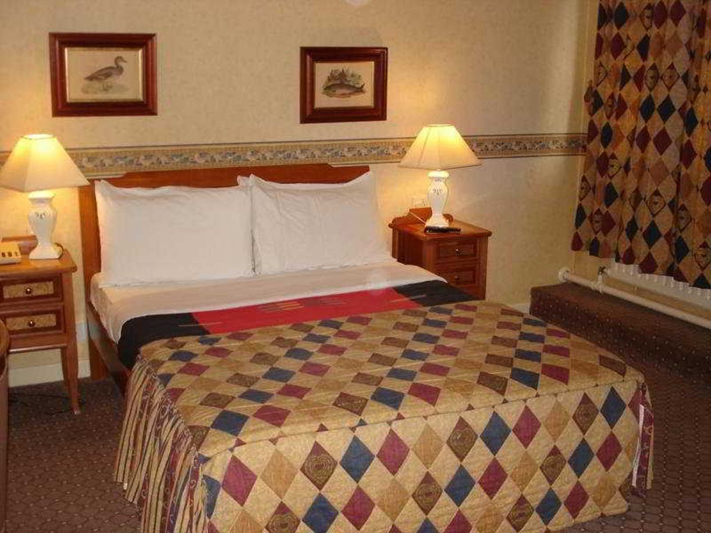 Kings Park-United Kingdom-GLASGOW-Room-7