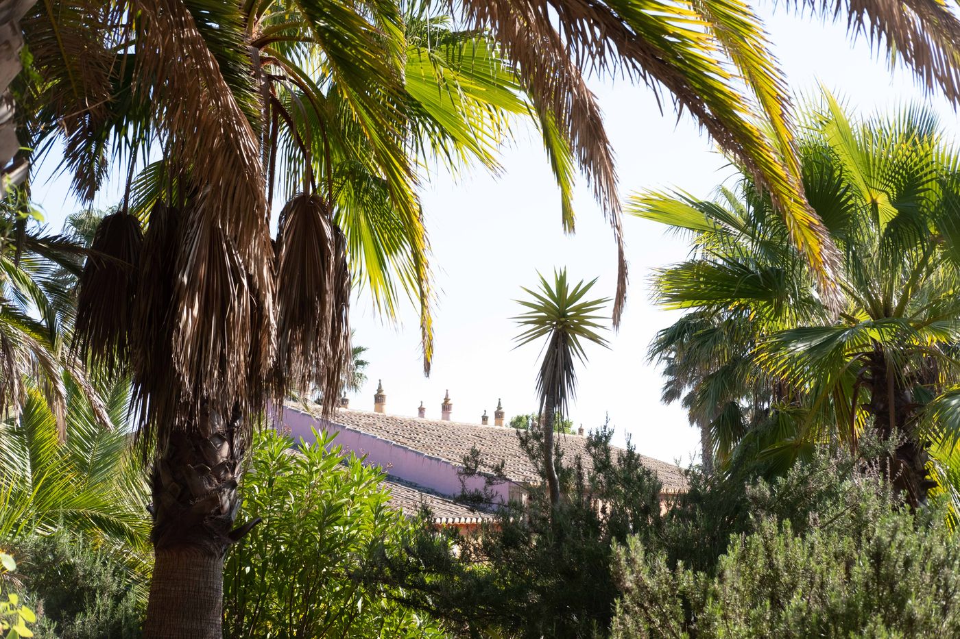 Quinta-do-Mar-da-Luz-General-view-15