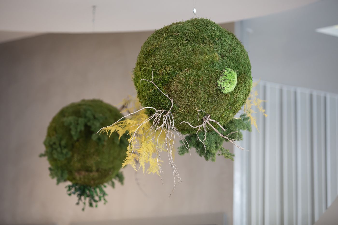 Monte-Puertatierra-Lobby-65