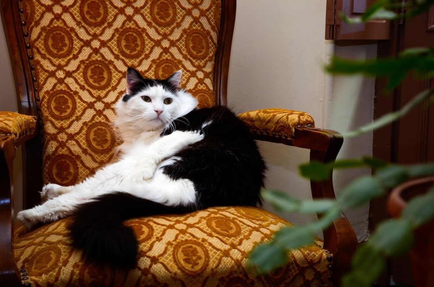 Heliot - France - TOULOUSE - Lobby - 7