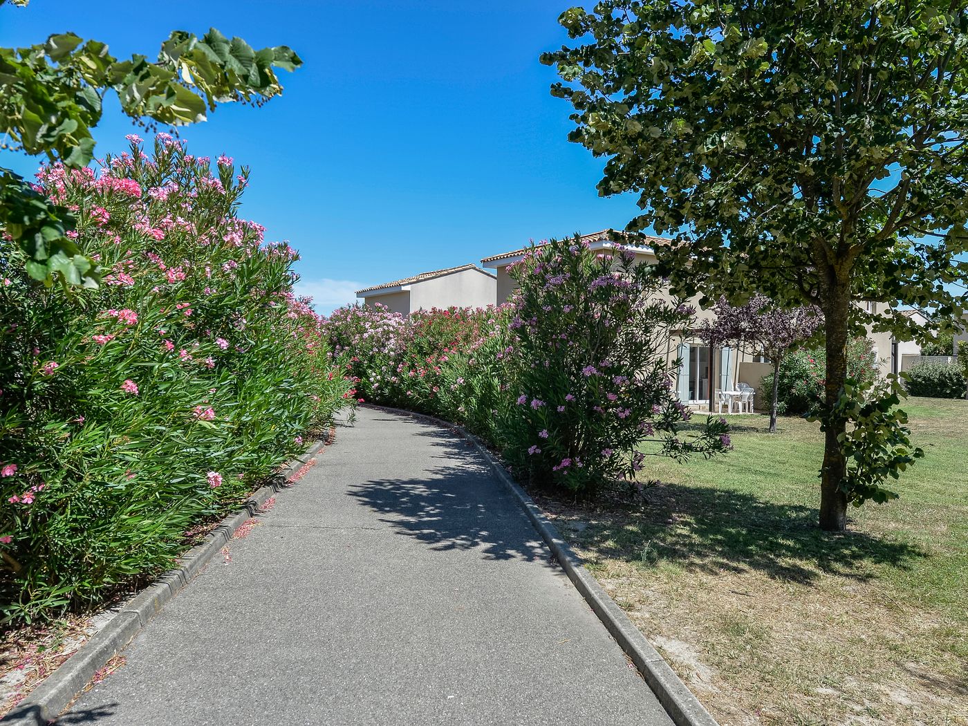 Residence Vacanceole Sun Hols Les rives du lac-France-ST SATURNIN LES AVIGNON-General view-8