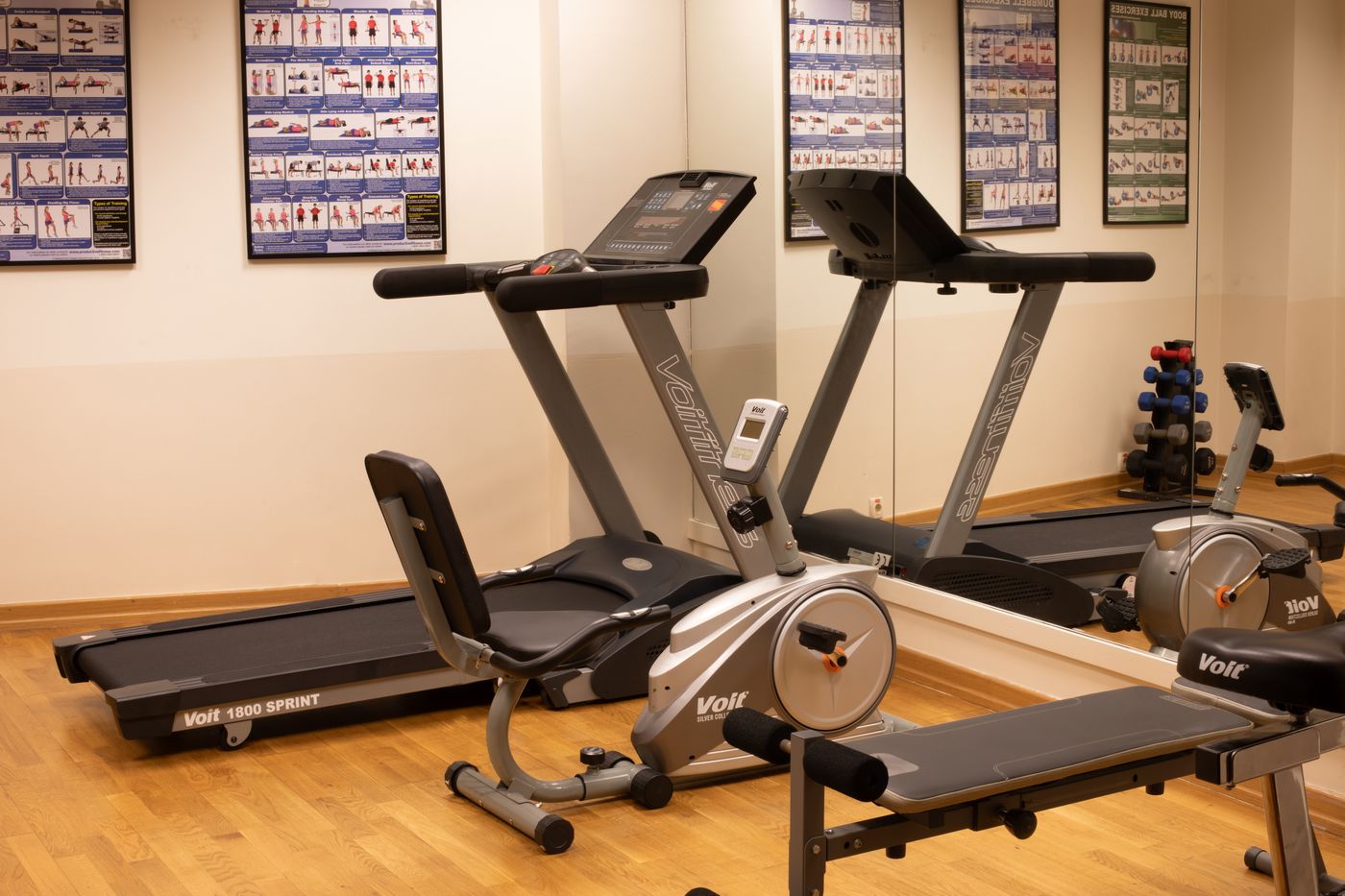 Recital-Turkey-SULTANAHMET-Sports and Entertainment-9