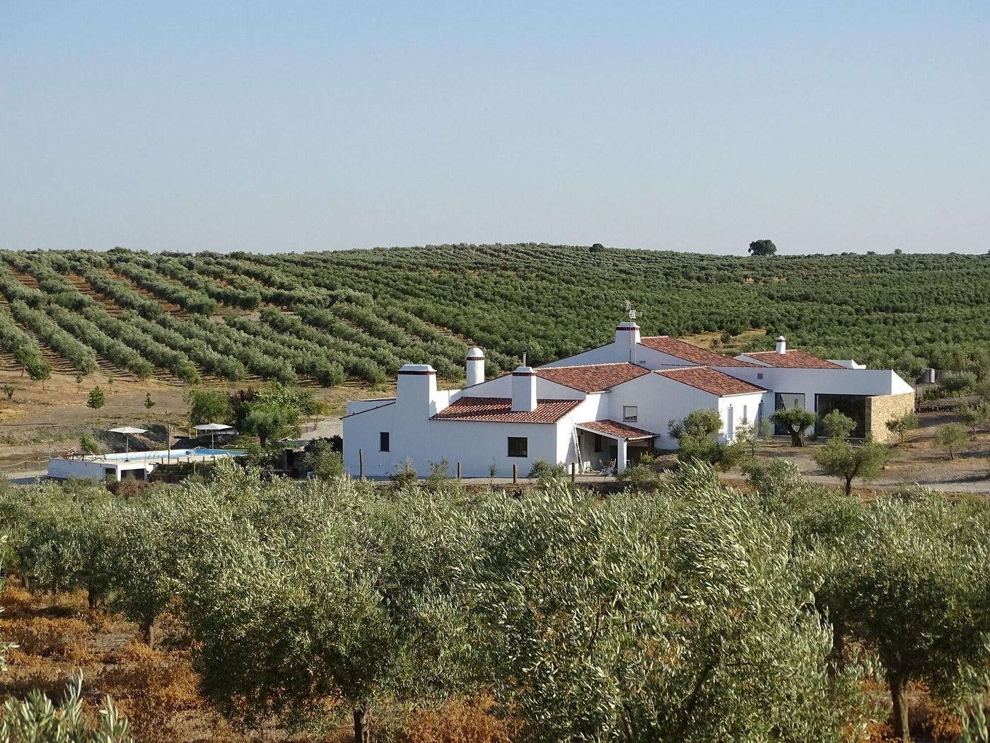 Monte da Estrela Country House & SPA-Portugal-MOURA-General view-5