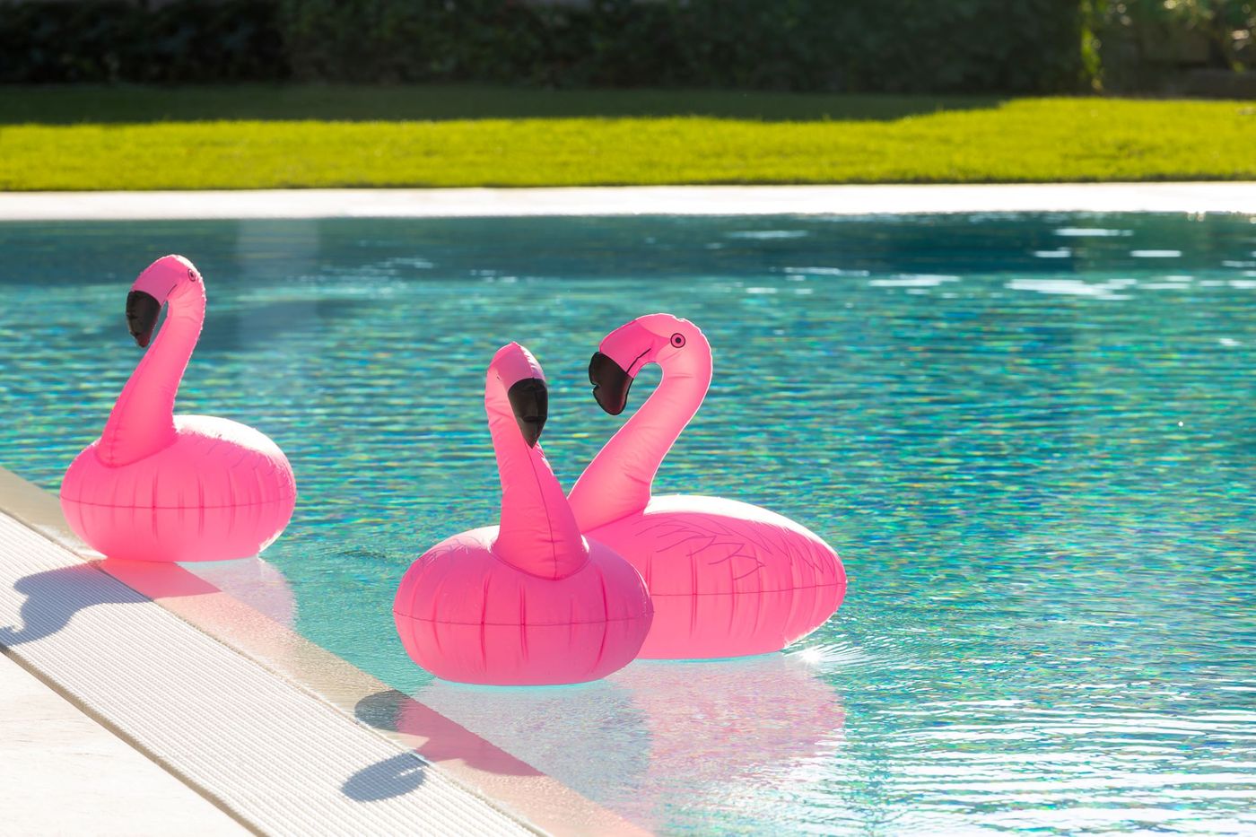 Ramada Plaza Milano Hotel - Italy - MILANO - Pool - 3