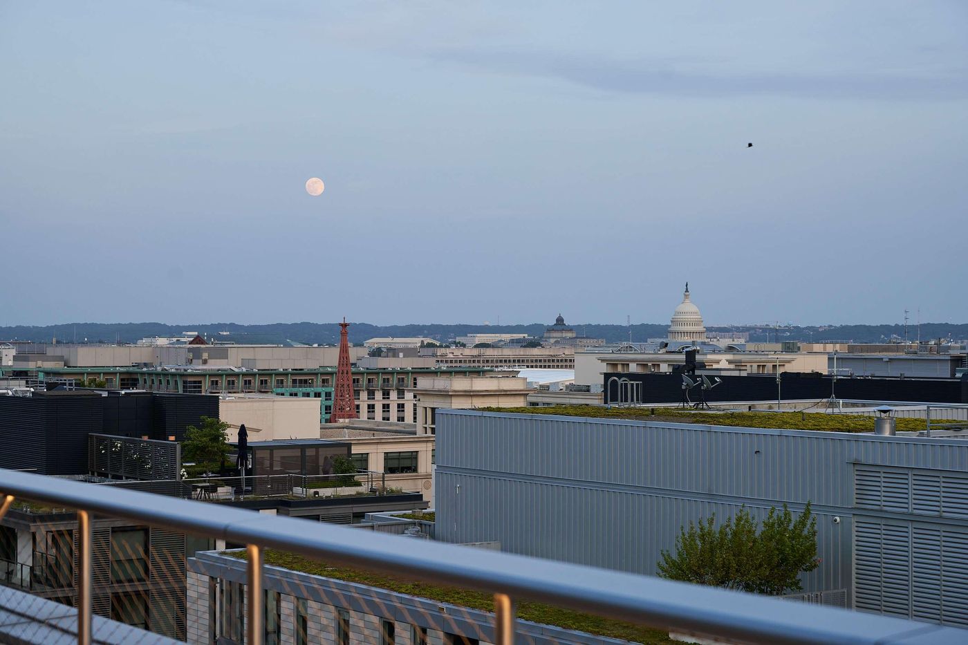 Conrad Washington, DC - United States - Washington DC - General view - 8