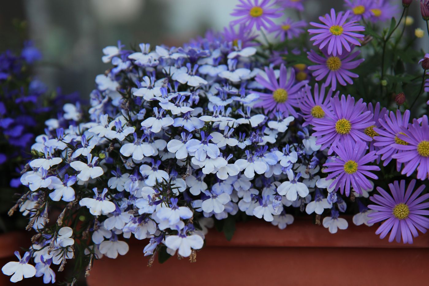 Hotel-Zora-Terrace-37