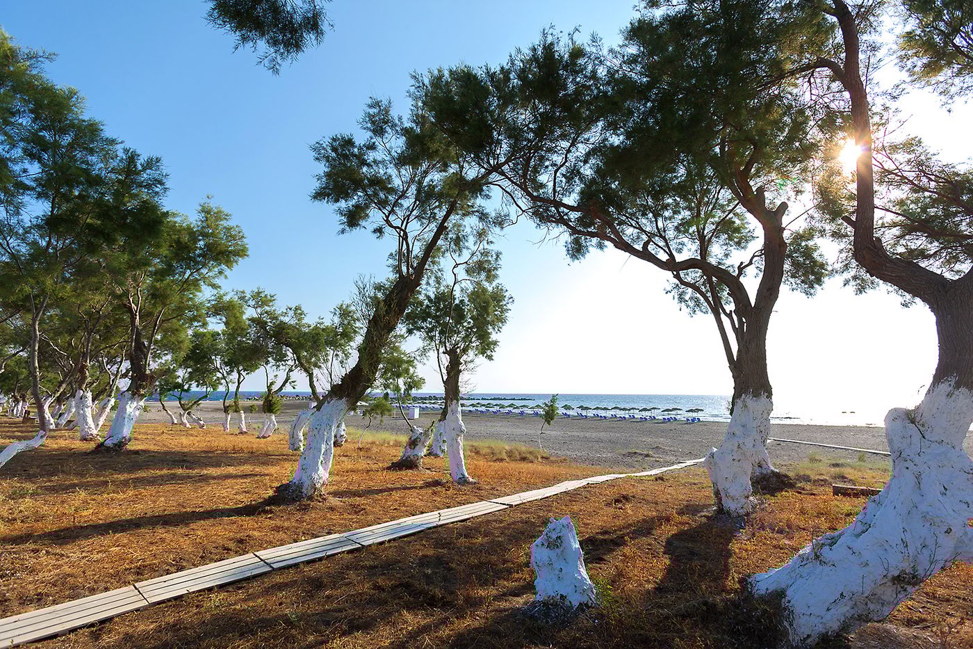 Memories-Beach-Beach-42