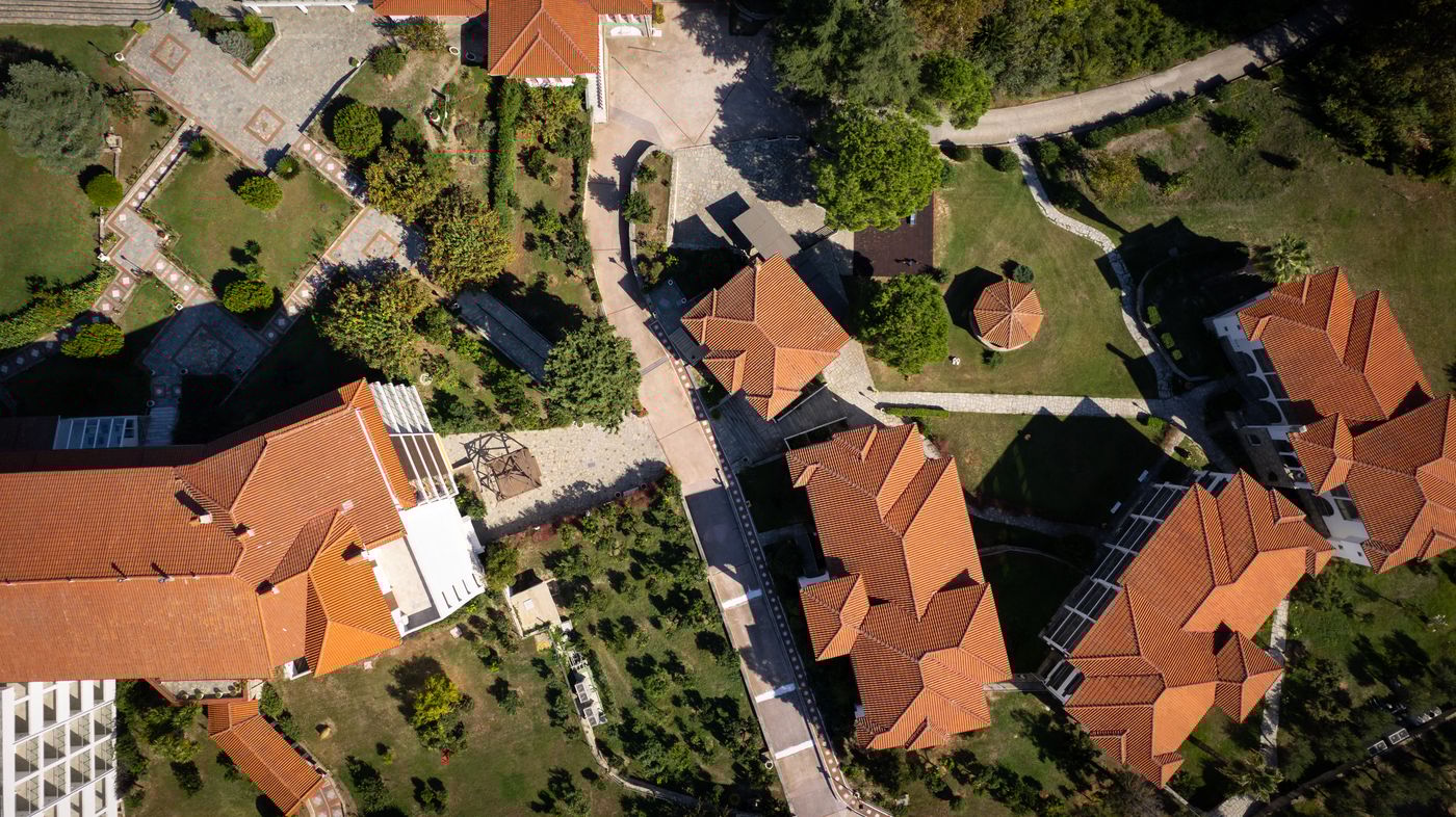 Mitsis Alexander The Great