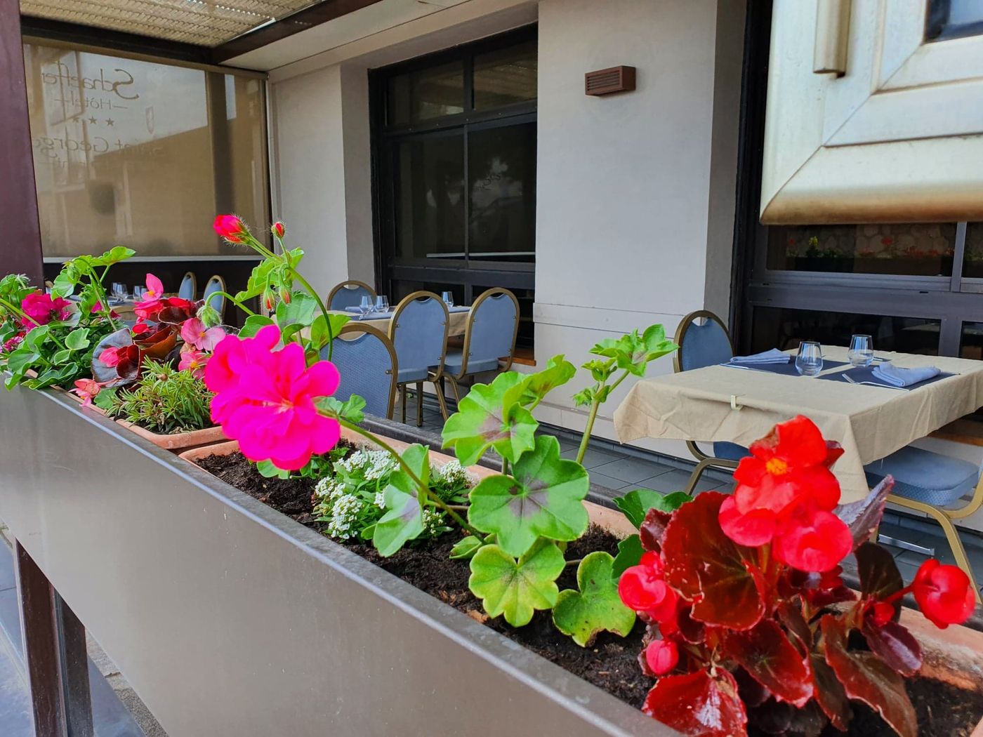 Logis Hotel Schaeffer Rest. Saint Georges - France - SERRIERES - Terrace - 6