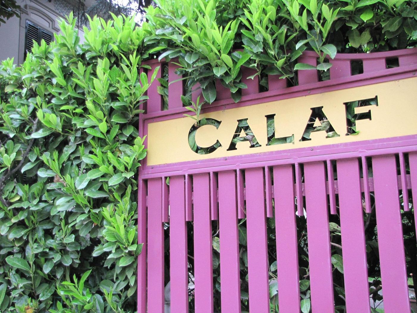 Bella-Addormentata-E-Il-Principe-Calaf-General-view-4