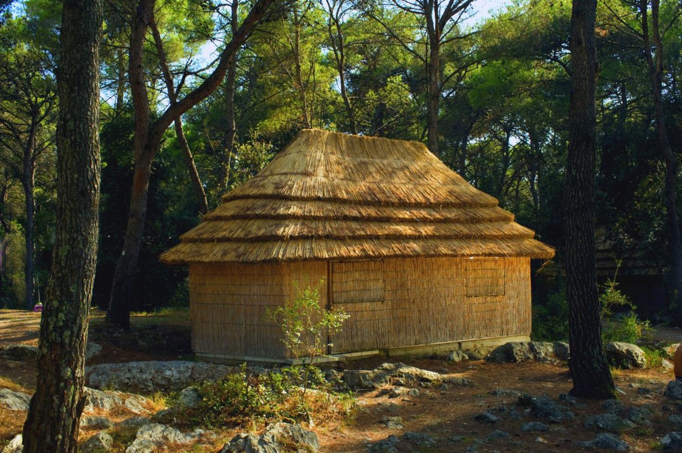 Pine Beach Pakostane