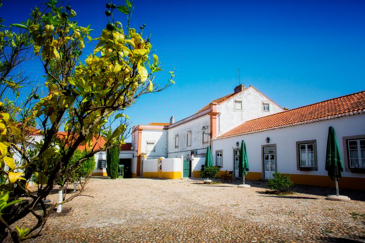 Quinta-Da-Praia-Das-Fontes-General-view-1