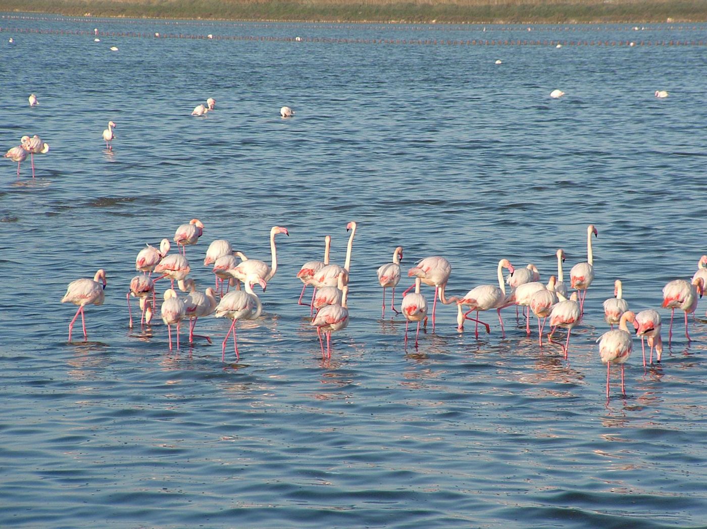 BEST-WESTERN-Hotel-Residence-Italia-General-view-59