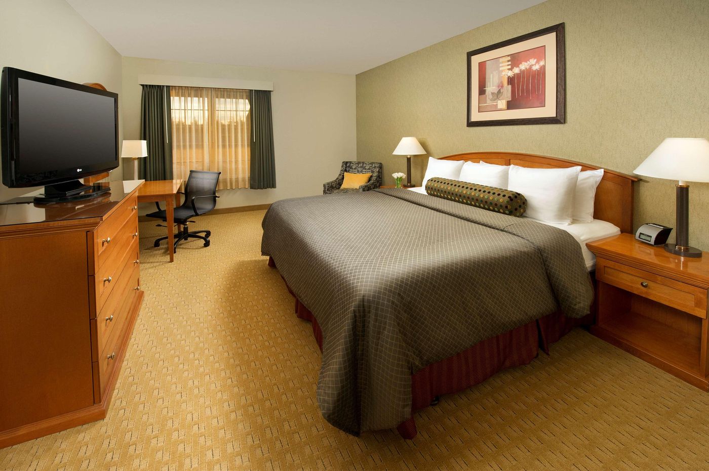 Redmond Inn-United States-REDMOND -Room-8