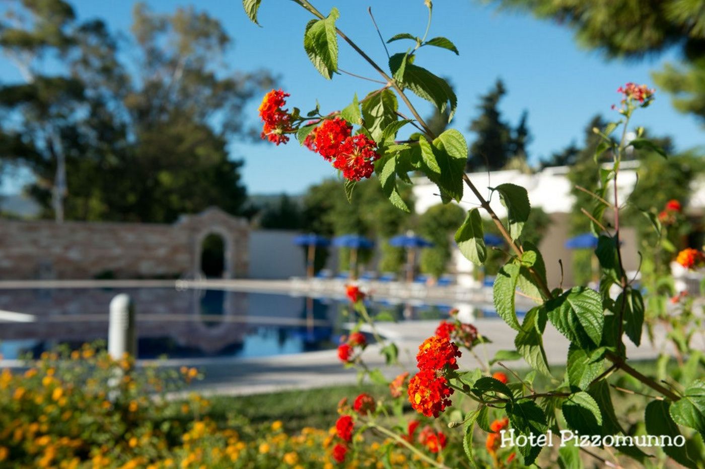Pizzomunno Vieste Palace Hotel-Italy-VIESTE-General view-7