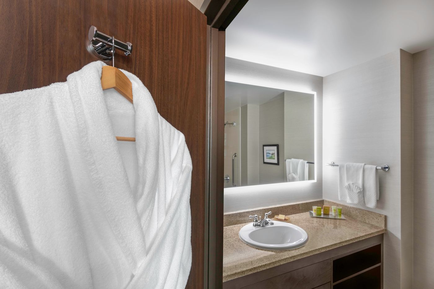 Hilton-Vancouver-Metrotown-Room-33