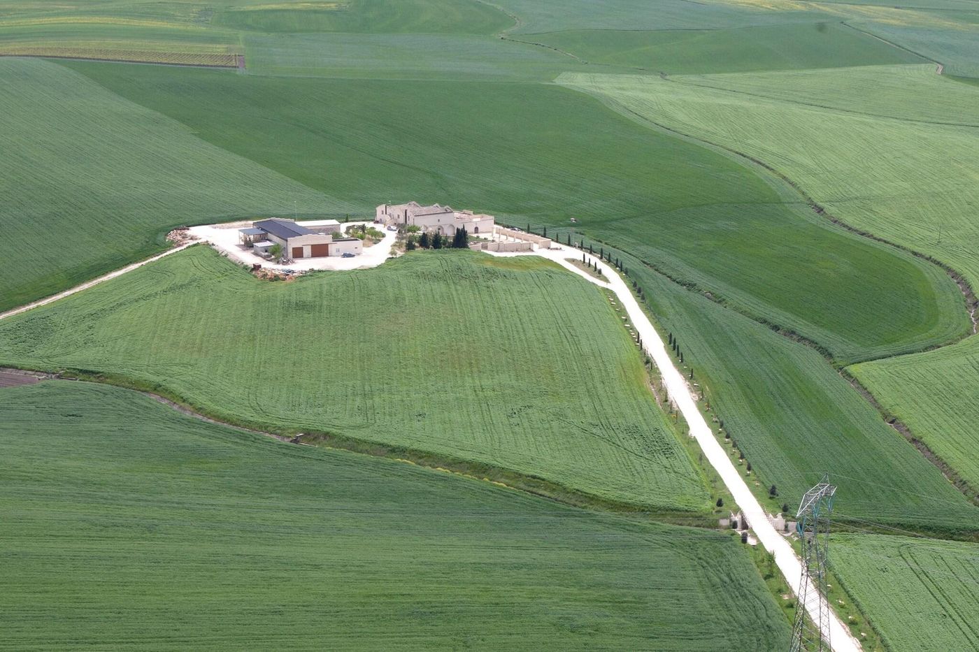 Tenuta Danesi-Italy-MATERA-General view-10