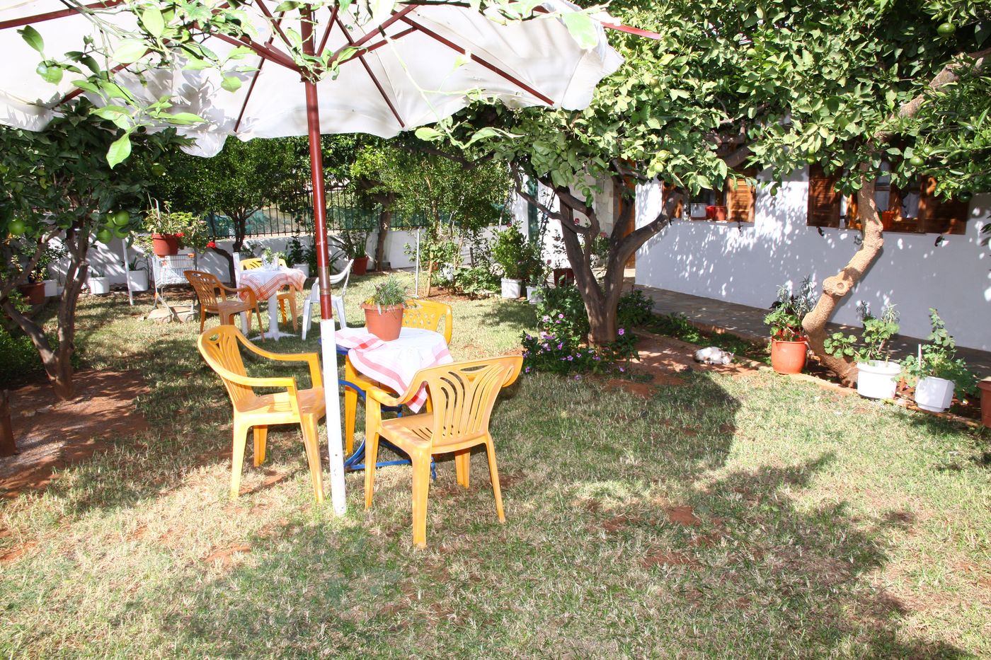 Seven Flowers Studios