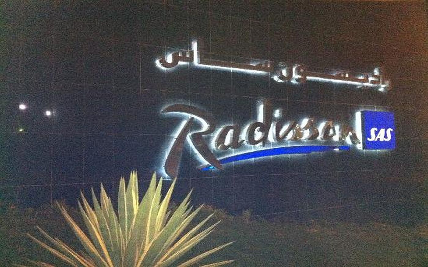 Radisson Blu Hotel Riyadh-Saudi Arabia-RIYADH-General view-3