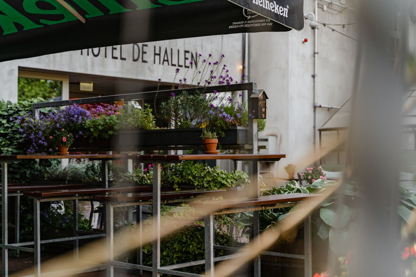 Hotel-De-Hallen-Terrace-83