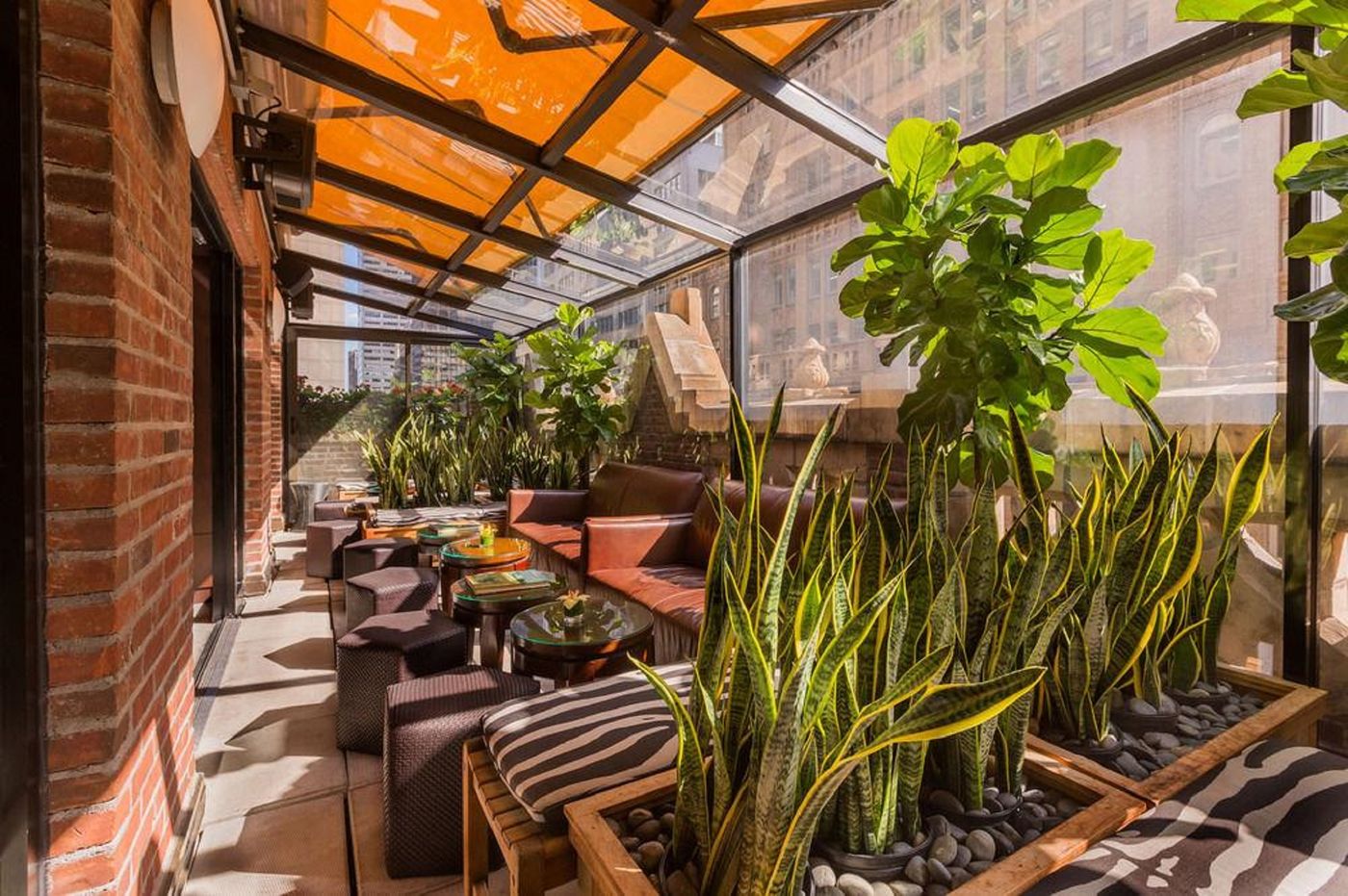 Library Hotel by Library Hotel Collection - United States - NEW YORK  - Terrace - 2