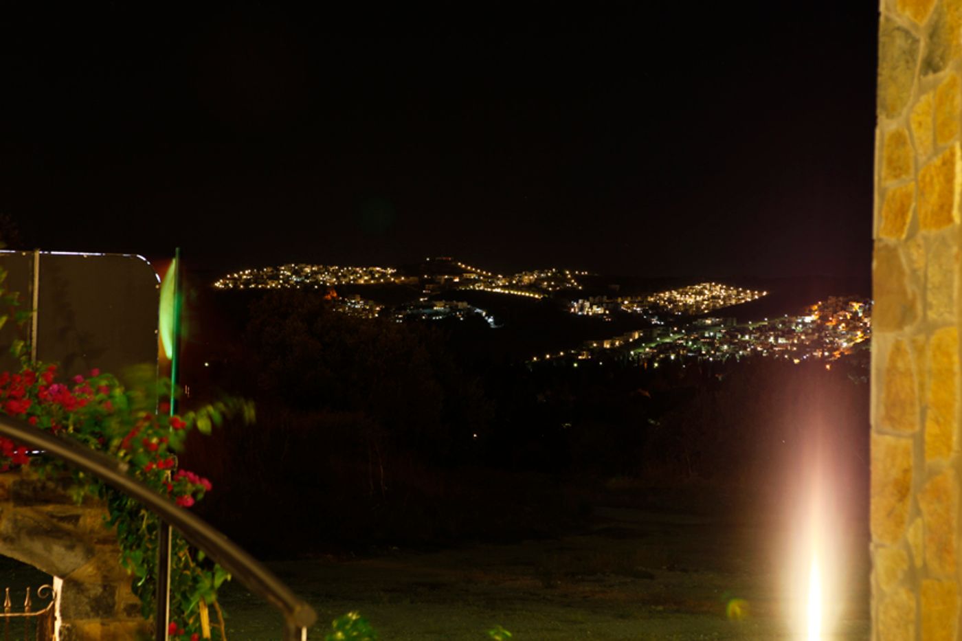 Lemon-Tree-General-view-18