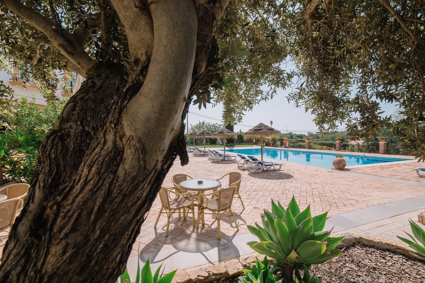 Quinta-Dos-Poetas-Pool-9