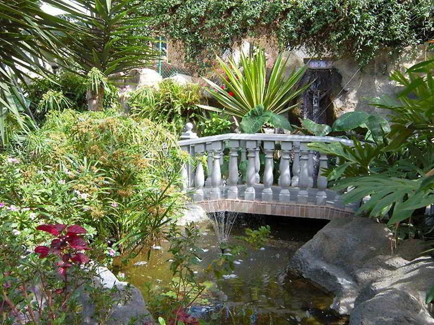 Don-Manolito-General-view-7