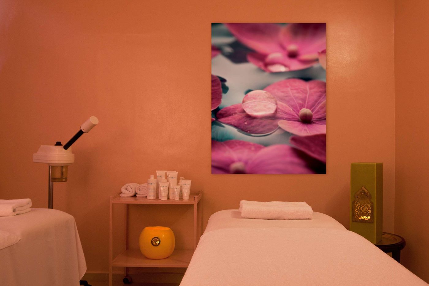 Kenzi-Europa-Sports-and-Entertainment-48