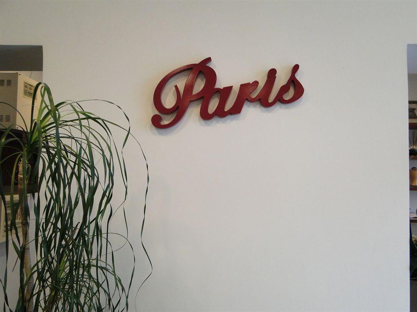Paris-General-view-8