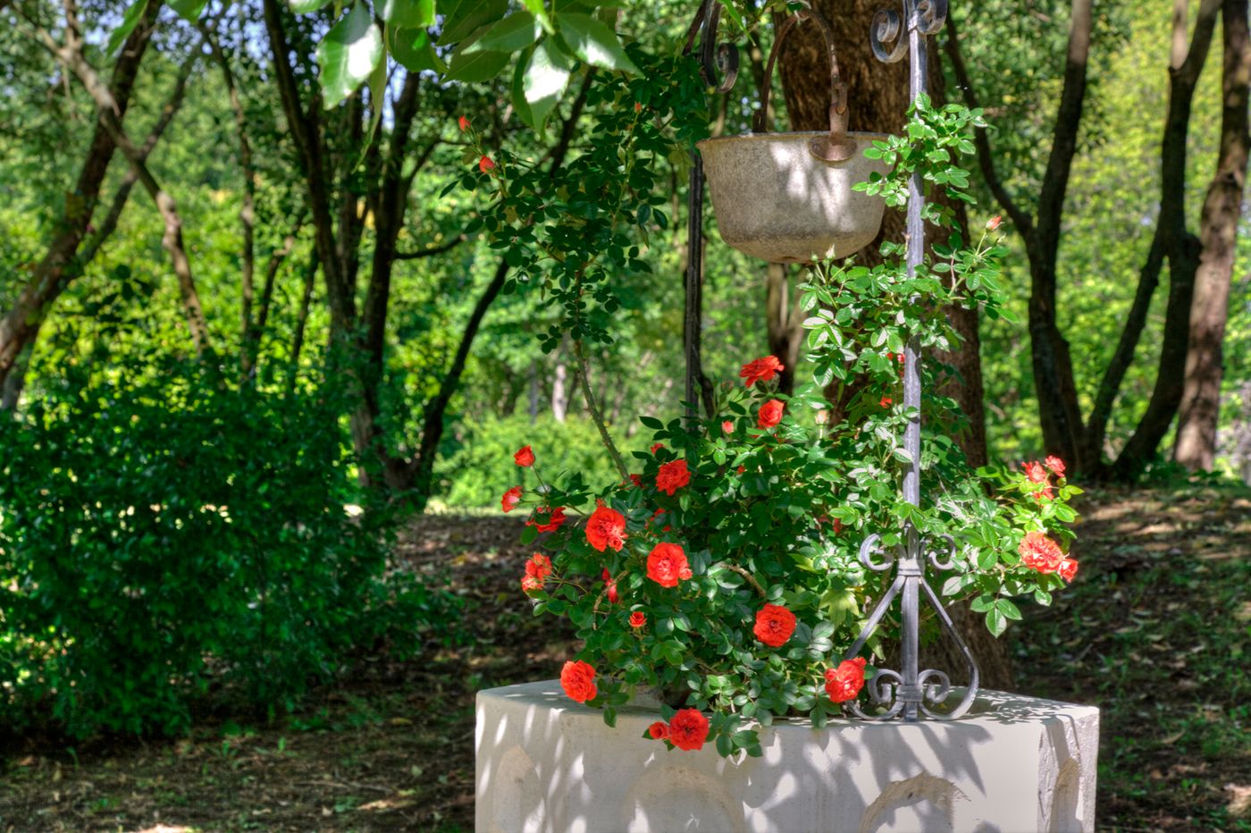 Park-Hotel-Junior-Terrace-8