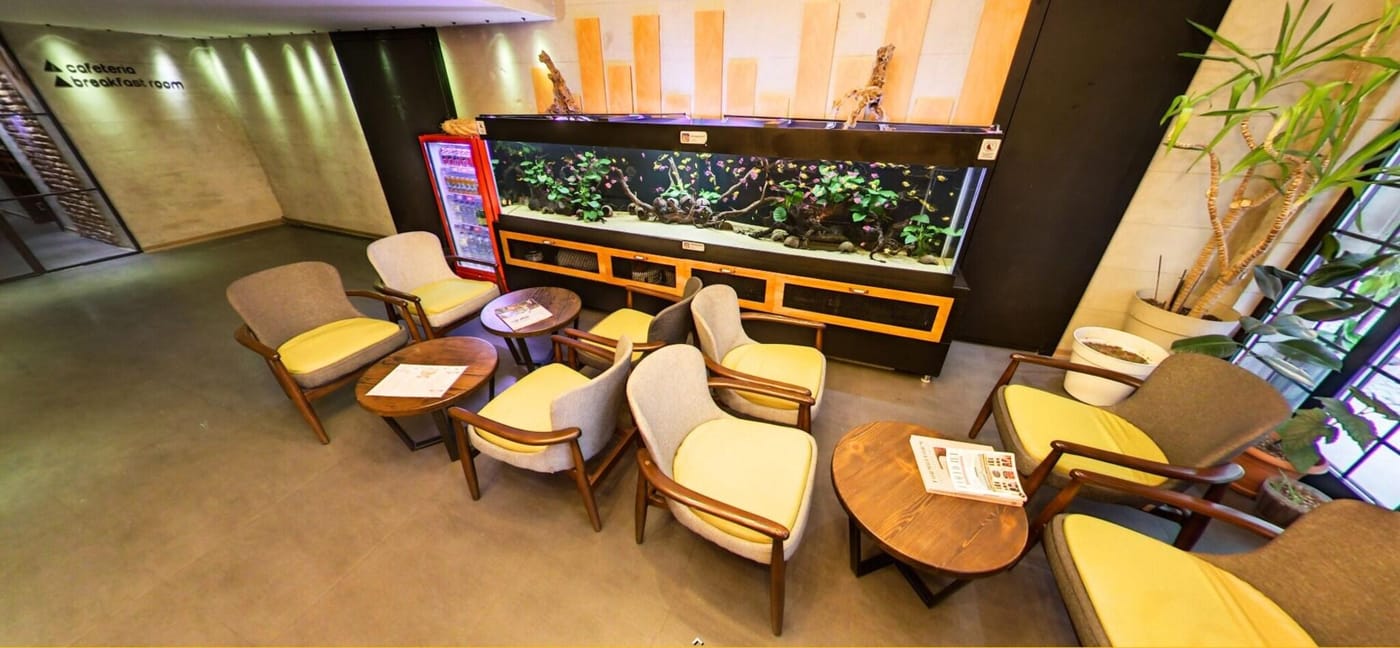 Elibol Hotel-Turkey-BEYAZIT/FATIH-ISTANBUL-Lobby-4