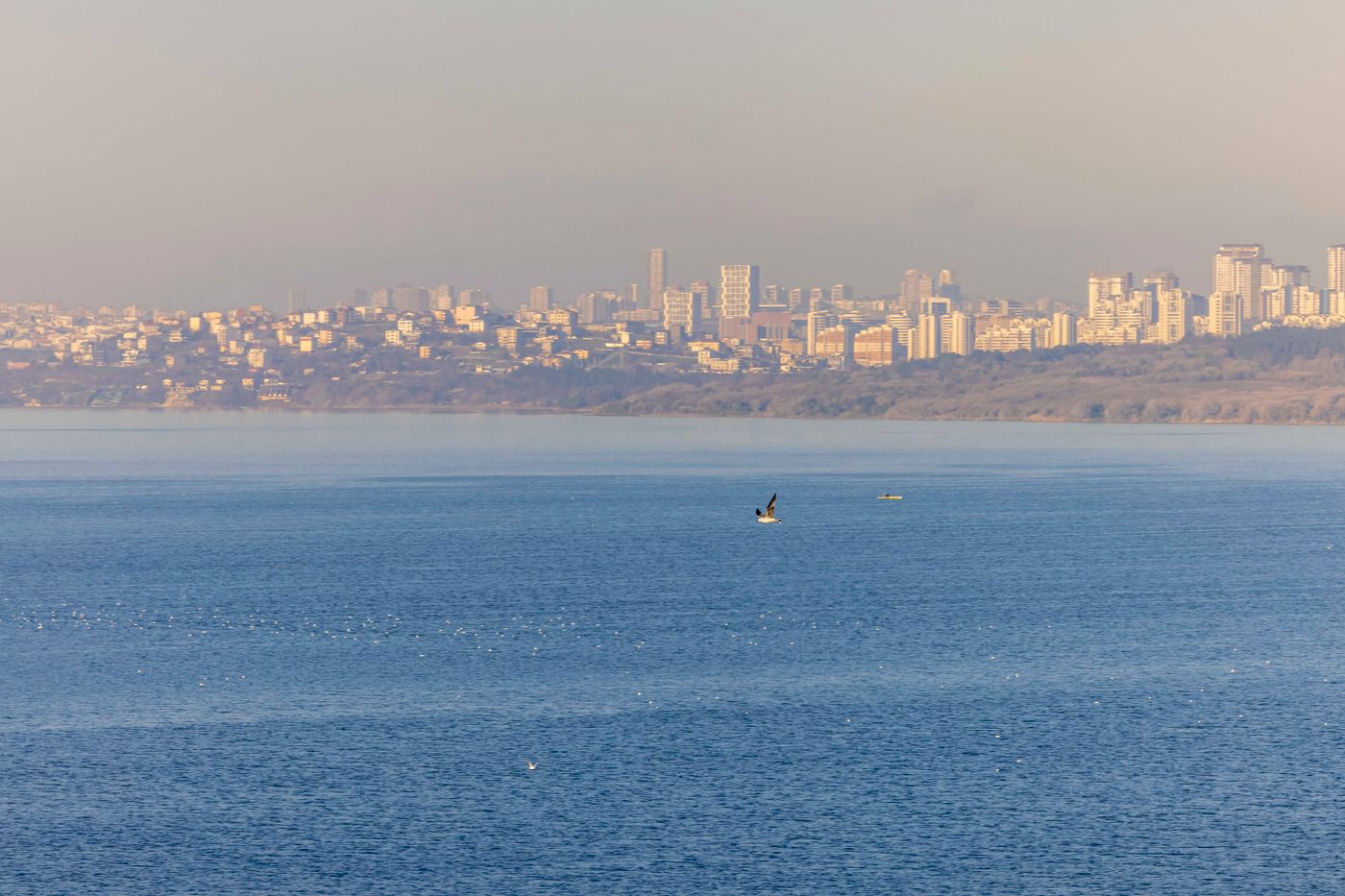 Ezkar-Bathonea-Art-istanbul-General-view-62