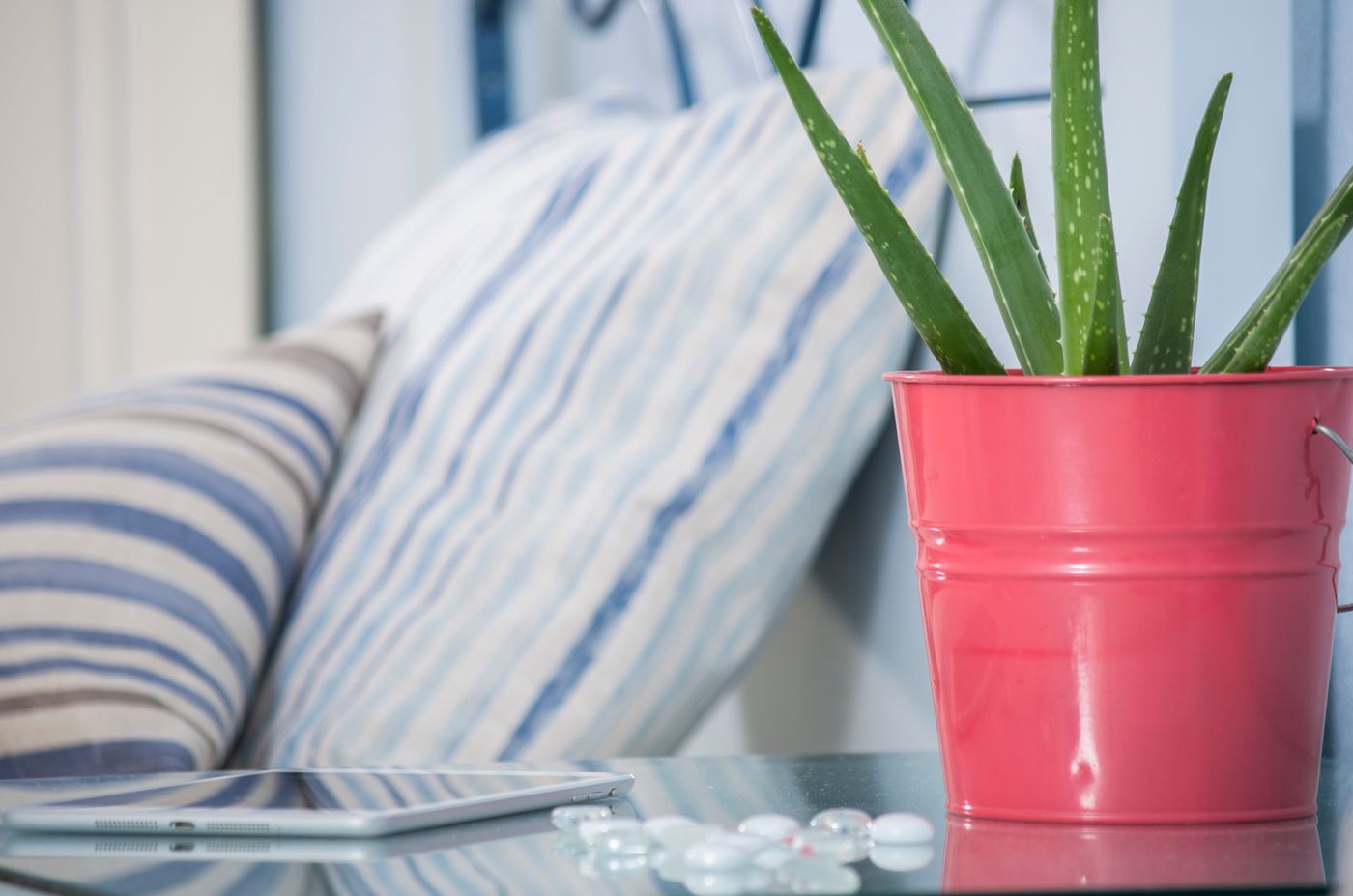 Paradise-Resort-Room-36