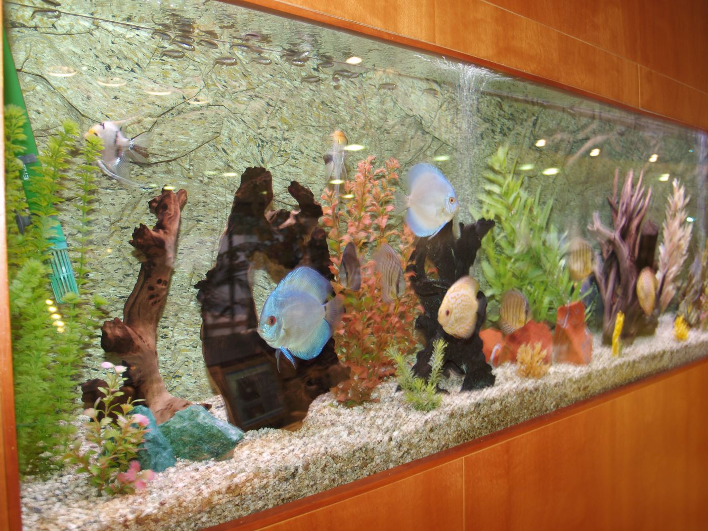 Montemar-Maritim-Lobby-20