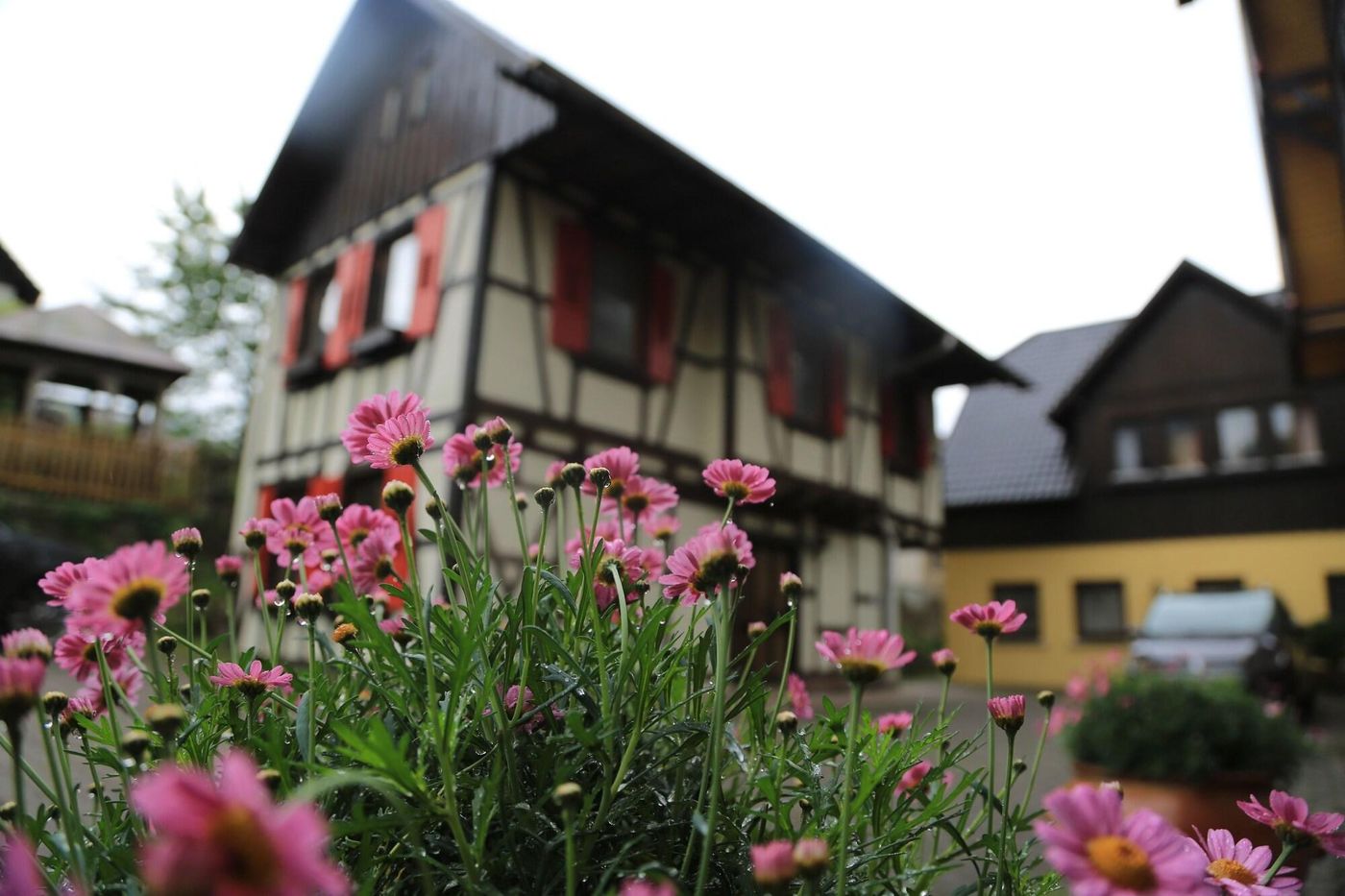 Das Waldhaus-Germany-FORBACH-General view-10