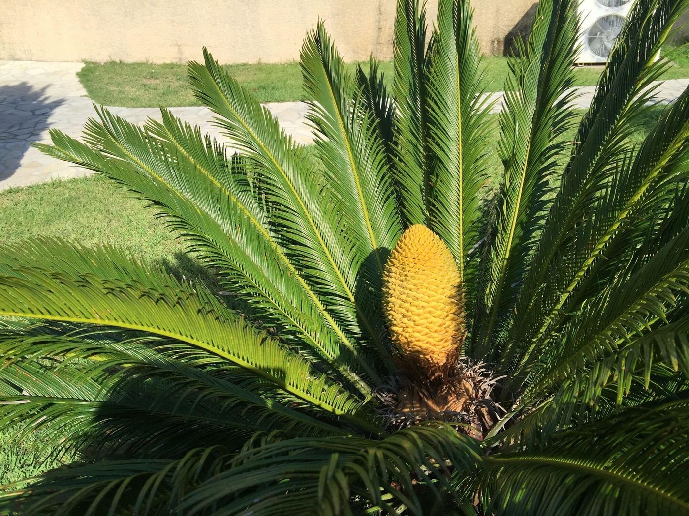 Citotel-La-Nartelle-General-view-21